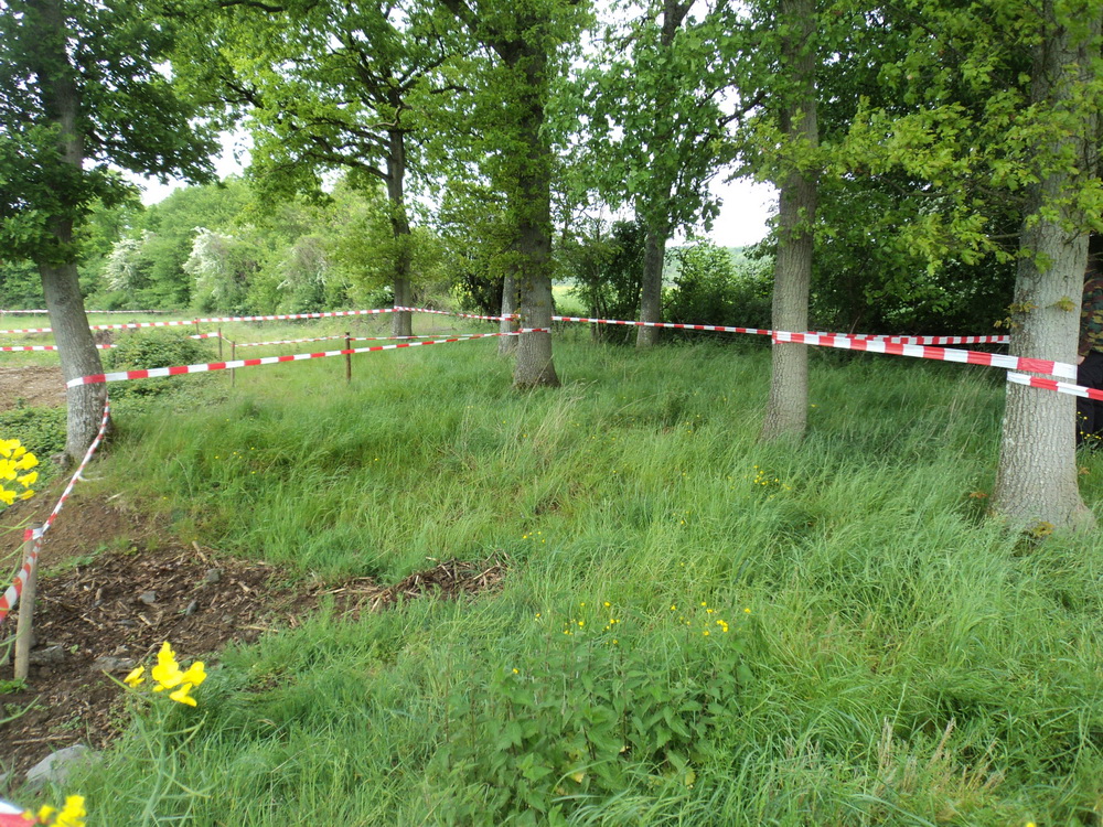 DSC01826